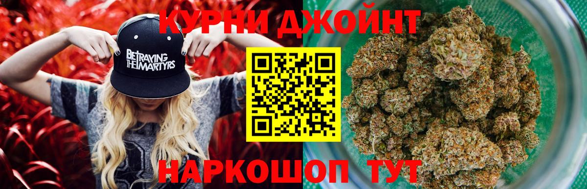 Конопля тримм  МАРИХУАНА план  Нурлат  Вход с VPN  Каннабис SATIVA & INDICA 